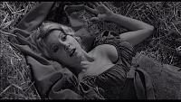 Click image for larger version. 

Name:	Teri Garr.jpg 
Views:	9 
Size:	87.4 KB 
ID:	19247