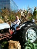 Click image for larger version. 

Name:	tractor (10).JPG 
Views:	52 
Size:	565.1 KB 
ID:	2762