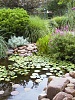 Click image for larger version. 

Name:	new pond.JPG 
Views:	97 
Size:	304.7 KB 
ID:	3645